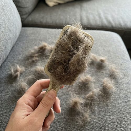 Signs you brush off