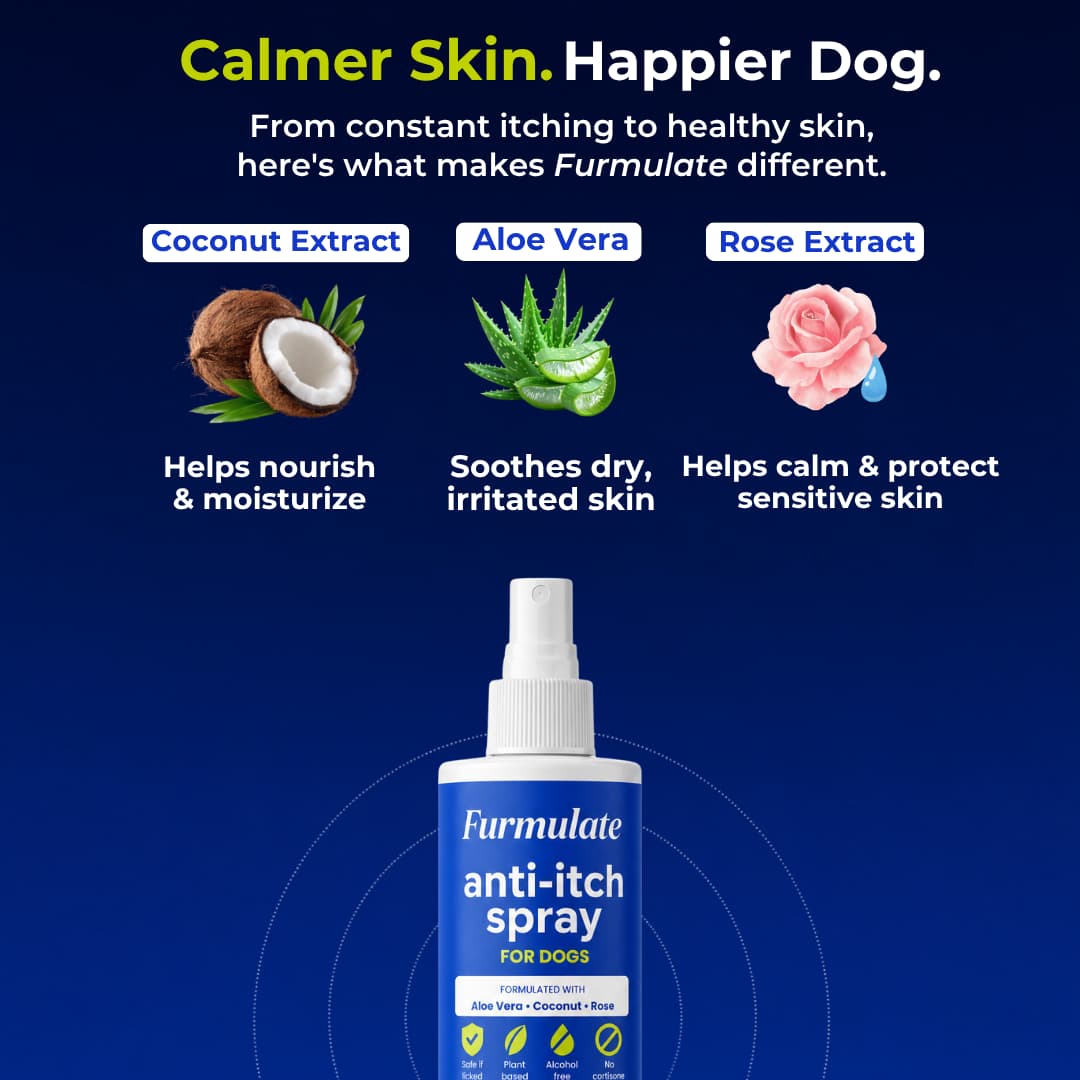 Daily Skin Soothing Mist