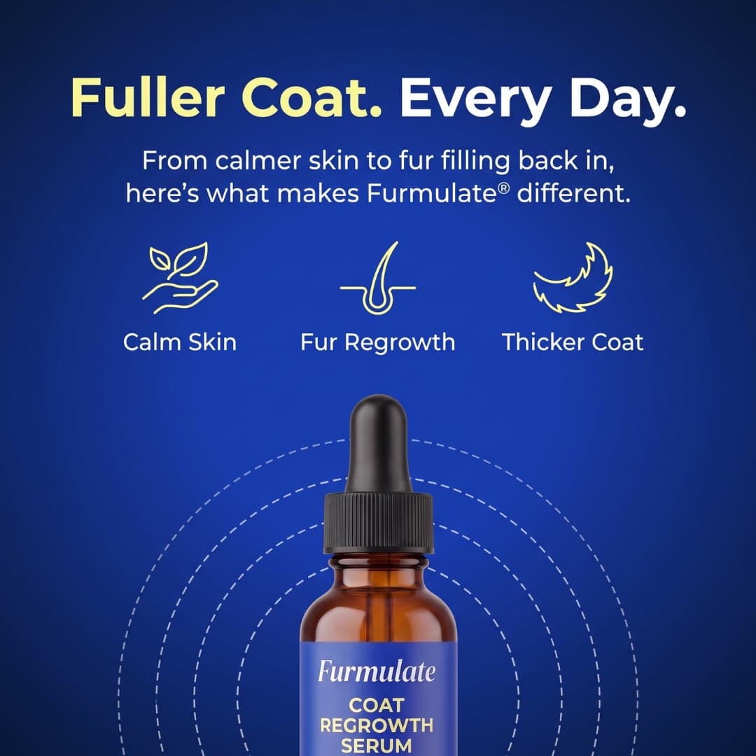 Regrow hair serum Dogs & cats