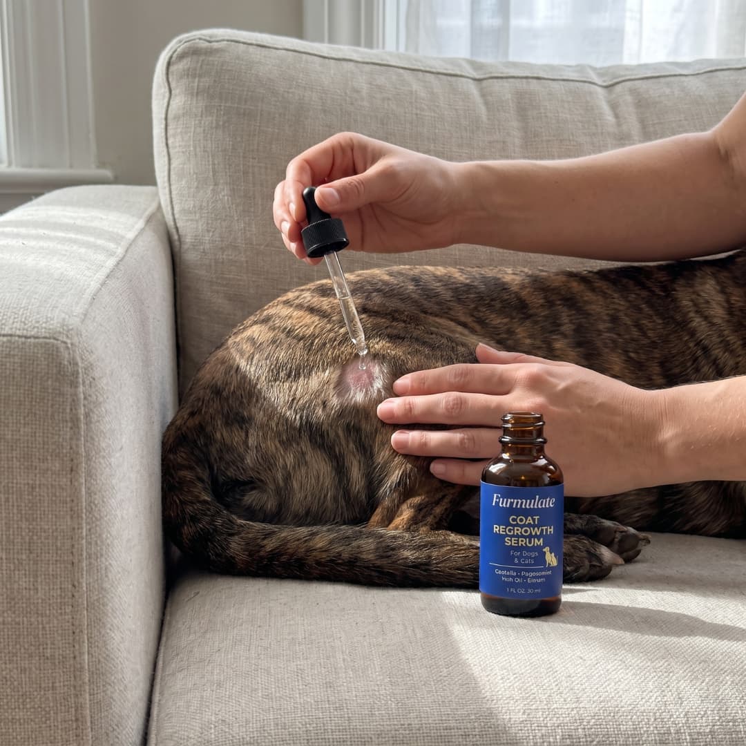Regrow hair serum Dogs & cats