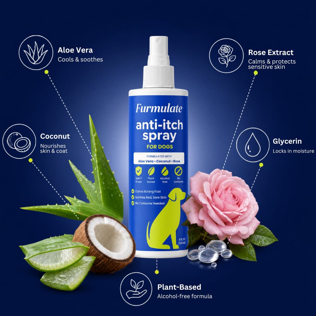 Daily Skin Soothing Mist