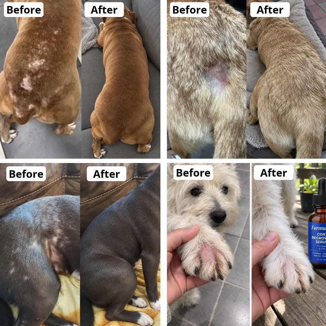 Regrow hair serum Dogs & cats